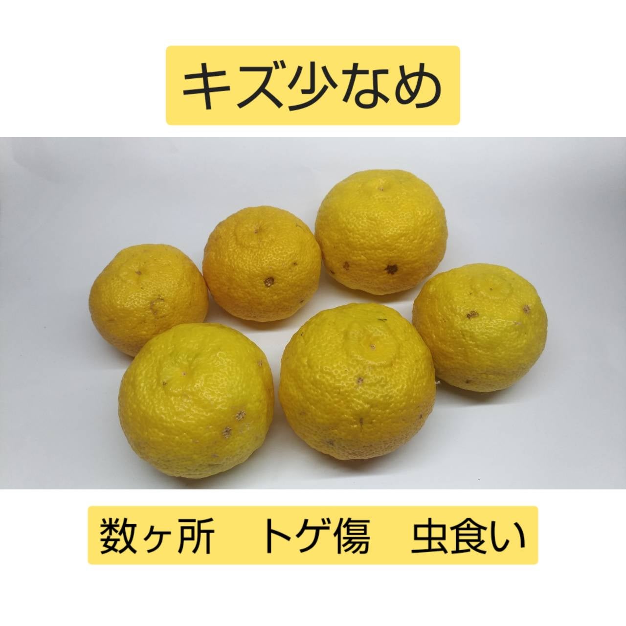 リピーター様限定ページ | ゆずファクトリー 柚子製品直売