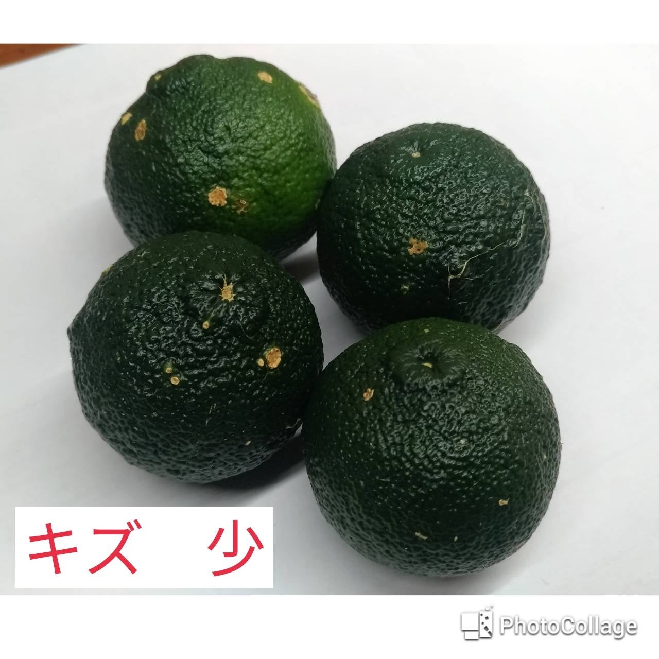 リピーター様限定ページ | ゆずファクトリー 柚子製品直売