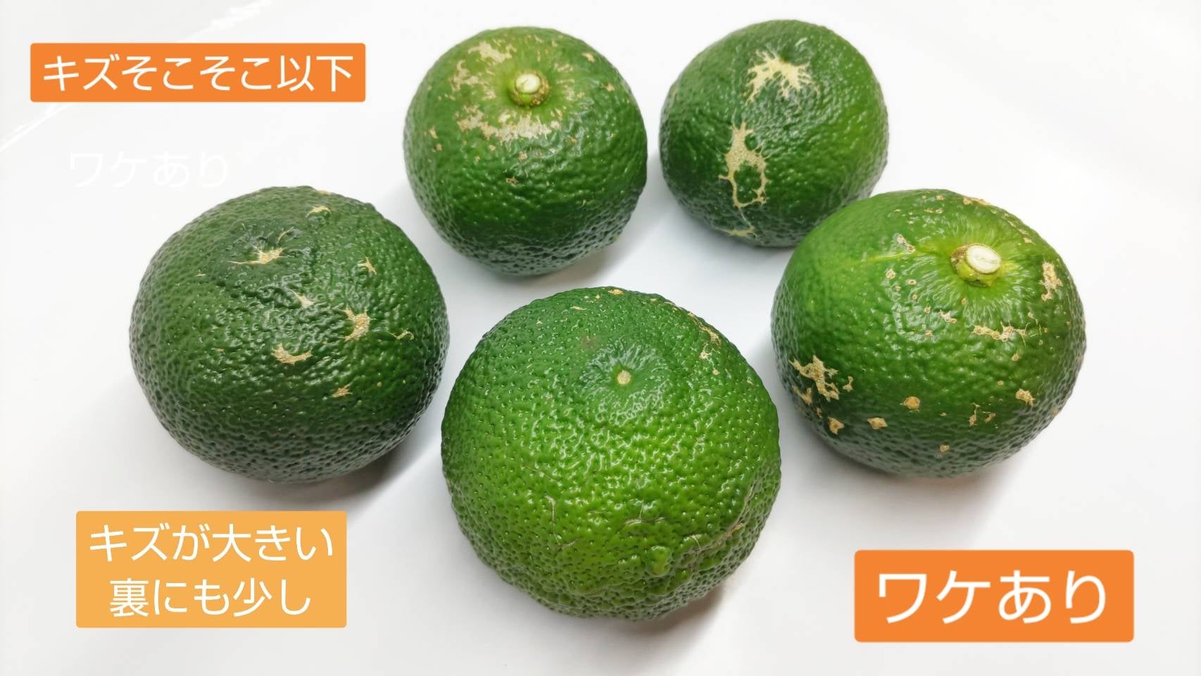 リピ専用 青ゆずミックス AとB 2kg単位 | ゆずファクトリー 柚子製品直売